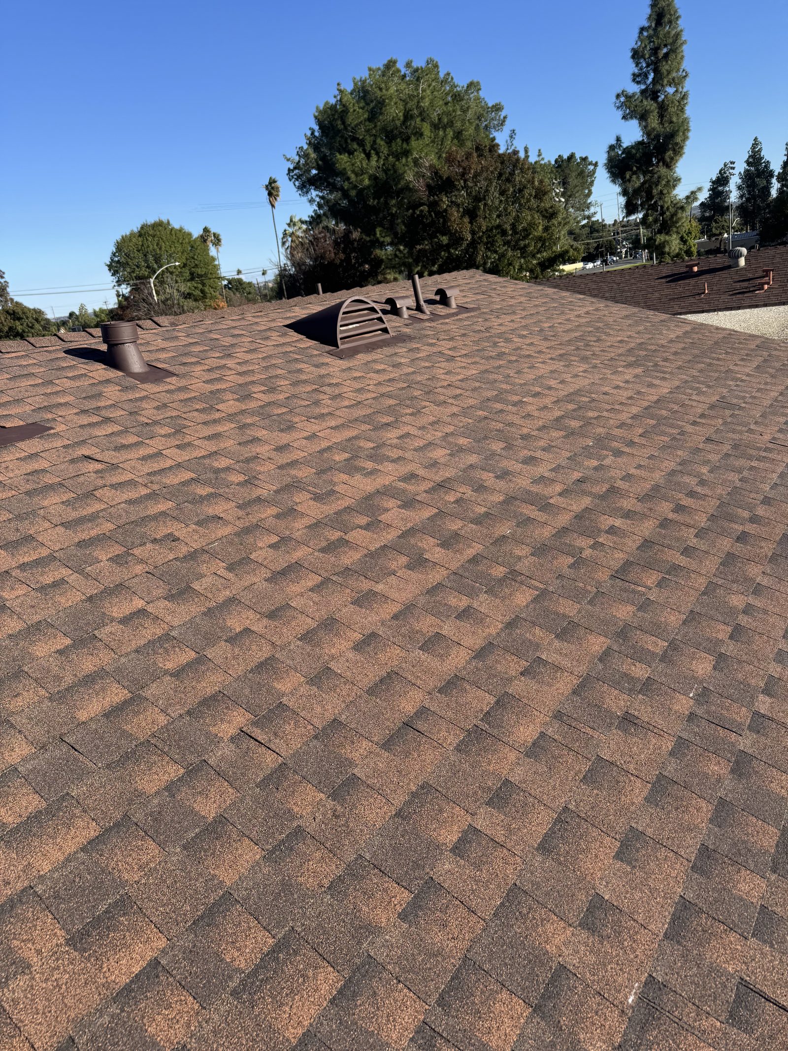 Shingle roof repair